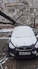 Snow-covered Ford and fallen tree observed in Khimki