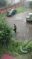 Heavy rainstorm batters Sosnovo with strong winds and driving rain