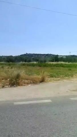 The video pans across a rural landscape under a clear blue sky.  The foreground shows a paved road with a grassy shoulder.  To the right of the road, a field of dry, yellow grass is visible.  Further in the distance, there are trees and hills.  The camera moves, revealing more of the scenery.  At one point, a cluster of parked cars is seen under the shade of a large tree.  Later, a white car, appearing damaged, is parked by the side of the road, near some bushes and a building.  Another dark-colored car is also seen parked off the road.  Power lines are visible against the sky in several shots.  The overall impression is of a roadside view in a sunny, possibly Mediterranean, environment, with evidence of abandoned or damaged vehicles.