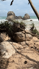 Morning beach scenes captured at Habaraduwa, Sri Lanka