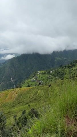 A vertical video opens on a panoramic view of a lush green mountain landscape. The sky is overcast with thick white clouds. In the foreground, tall blades of grass sway gently. The middle ground features a winding road that snakes its way up a steep, terraced hillside. Several small houses with colorful roofs are scattered along the road and the terraces, suggesting a small village. The background is dominated by the dense green slopes of larger mountains, also partially obscured by clouds. The overall impression is a serene, rural mountain village scene.
