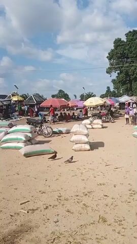 The video shows an outdoor market scene on a dirt ground. Numerous stalls are set up with umbrellas providing shade for vendors and customers. Large sacks, possibly containing grain or produce, are stacked in piles on the ground. Several motorcycles are parked among the stalls. People are seen walking, standing, and interacting, suggesting a busy marketplace. Pigeons are present on the ground, foraging for food. The sky is partly cloudy. The overall impression is a vibrant, open-air market.