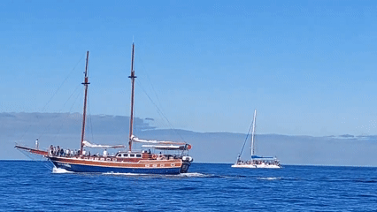 Recreational boats spotted in Funchal waters during morning outing