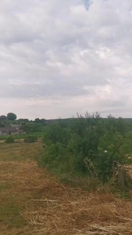 The video captures a rural landscape under a cloudy sky. The foreground is dominated by dry, cut grass and a patch of green vegetation. In the middle ground, a line of lush green trees and bushes forms a natural border. Beyond the trees, a small village or settlement is visible with houses and scattered structures. Further in the distance, rolling hills covered in dense green foliage rise against the horizon. A light blue van is parked on the right side of the frame, partially obscured by vegetation. The overall impression is one of a calm, overcast day in a tranquil, possibly agricultural, setting.
