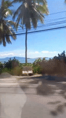 Cruising a palm-lined coastal road in Baan Bang Rak