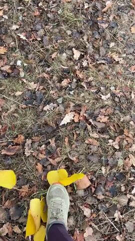 The video shows a first-person perspective of someone walking on a path covered in fallen leaves and dry grass. The leaves are a mix of brown, orange, and some yellow. The person is wearing dark purple leggings and light-colored athletic shoes with a pink accent. Their feet are visible as they walk, kicking up some of the leaves with each step. The path appears to be in a natural setting, possibly a park or forest, given the presence of leaves and grass. The lighting suggests it is daytime, but the sky is not visible. There are no other people or animals visible in the video. The camera is pointed downwards, focusing on the path ahead and the person's feet.