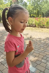 Summer afternoon in Chornomorsk: roses, a dog, and a park bench