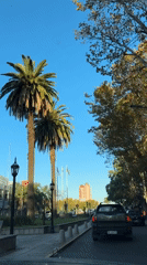 Routine drive through Tigre streets captures everyday traffic flow
