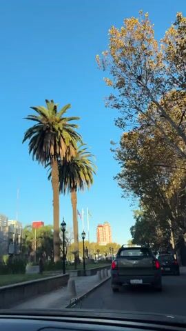 The video shows a view from inside a moving vehicle, looking out over a street lined with palm trees and other trees with leafy foliage. The sky is a clear, bright blue. A green pickup truck is driving ahead in the same lane. There are sidewalks and manicured green spaces on the side of the road, featuring statues and flags. A tall building with a red top is visible in the distance. The sun is shining, creating highlights on the foliage.