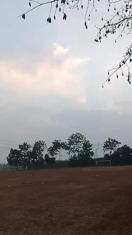 The video shows an outdoor scene with a brown, dry field in the foreground. In the middle ground, there is a line of trees and what appears to be a soccer goal. In the background, there are clouds and branches of a tree with seed pods hanging from them. The sky is overcast. The video is a vertical shot.