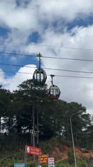 Cable cars operate over Da Lat forest during early morning