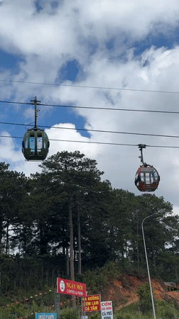 Cable cars operate over Da Lat forest during early morning