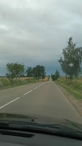 The video shows a view from the perspective of a vehicle driving on a two-lane asphalt road. The road is flanked by fields of crops on either side. Tall trees are visible along the roadside. The sky is overcast with dark clouds, suggesting the possibility of rain or a storm. The scene is consistent with driving through a rural landscape under a cloudy sky.