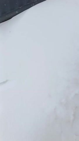 The video shows a gray metal building in a snowy environment. The building has a white door and two white-framed windows. There is snow covering the ground, and it is actively snowing. The camera pans upwards, revealing the full side of the building, with a white wall visible in the distance beyond the snow-covered ground.