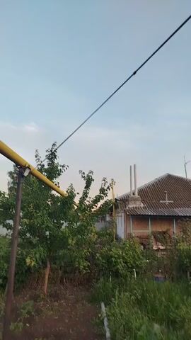 A yellow pipe crosses the frame diagonally from left to right, supported by a dark pole on the left. Behind the pipe, lush green trees and bushes dominate the lower half of the frame. In the background, a rustic building with a tiled roof and brickwork is visible. The sky above is a clear, pale blue with some wispy white clouds. The scene appears to be an outdoor setting, possibly a backyard or rural area.