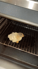 Chick documented in kitchen locations across Zlatograd, Bulgaria