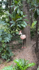 Pink flamingo statues tucked beside a tree in Milan
