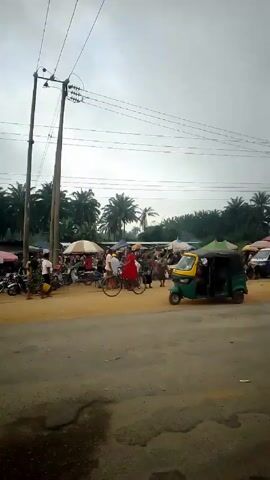 The video shows a bustling outdoor market in a tropical area under a cloudy sky. The market area is located on a dirt clearing next to a paved road. Various stalls and vendors are present, covered by colorful umbrellas and canopies. People are walking around, some carrying items, and interacting with the vendors. Several vehicles are present, including a yellow and green auto-rickshaw, a blue van, a white SUV, and numerous motorcycles, some parked and some being ridden. Palm trees are visible in the background. Overhead, power lines run across the scene supported by wooden poles. The road in the foreground shows signs of wear and tear with potholes and uneven surfaces.
