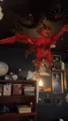 Harry Potter themed venue documented during evening city walk