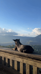 Morning visitors observe scenic lake vista in Kintamani, Indonesia