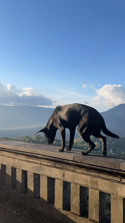 Morning visitors observe scenic lake vista in Kintamani, Indonesia