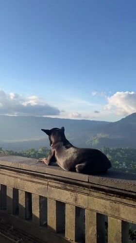 Morning visitors observe scenic lake vista in Kintamani, Indonesia