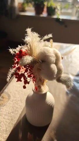 A small bouquet of dried flowers sits in a white ribbed vase on a surface covered with a textured beige fabric. The bouquet features red flowers, white feathery plants, and cotton bolls. Sunlight streams in from a window in the background, illuminating the scene. The background is blurred, but plants can be seen on a windowsill.
