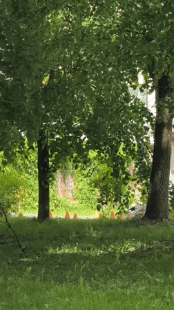 Go-kart driver navigates cone course in Hrodna, Belarus