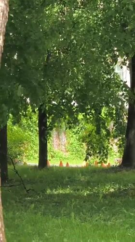 Go-kart driver navigates cone course in Hrodna, Belarus