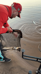 Fisherman weighs and releases catch at Chaykovsky lake