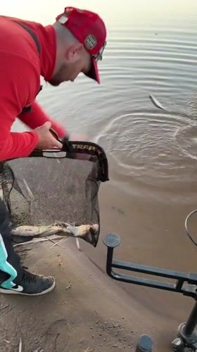 Fisherman weighs and releases catch at Chaykovsky lake