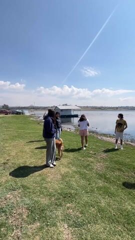 A group of five people stands on a grassy lawn near a lake on a sunny day. A small dog is also present. The people are casually dressed. A white, rectangular structure sits on the lake near the shoreline. The sky is blue with a few clouds. One person walks away from the group, and the dog follows.