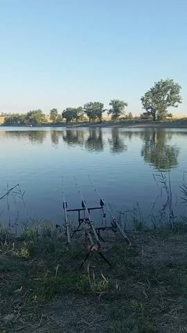 The video begins by showing a fishing setup with three fishing rods on a stand by the edge of a body of water. The water is calm, with reflections of trees on the opposite bank. The camera then pans to the right, revealing tall reeds and a wooden structure, possibly a fishing platform. Further to the right, the scene shifts to a grassy area with various fishing equipment scattered around, including buckets, tackle boxes, and fishing rods. A car is visible parked amongst trees in the background. The overall scene depicts a fishing spot in a natural environment.