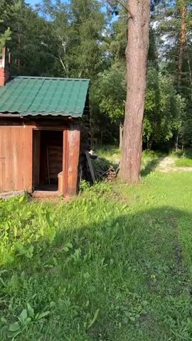 This video showcases a rustic wooden structure in a natural setting, likely a backyard or a rural area. The building features a green metal roof and wooden walls, with an open doorway revealing a dimly lit interior. The exterior is adorned with rough-hewn logs and appears weathered.

In front of the structure, lush green grass and various plants create a vibrant foreground. A large tree with a thick, textured trunk stands prominently to the right of the building, casting a shadow onto the grassy area. In the background, dense foliage and trees suggest a wooded environment. The overall scene evokes a sense of tranquility and a connection with nature.

The lighting suggests it is daytime, possibly late afternoon or early evening, given the warm tones and the angle of the shadows. The weather appears to be pleasant, with clear skies indicated by the sunlight filtering through the trees.

There is no visible text in the media file. The overall mood conveyed is one of peace and simplicity, with the rustic structure blending harmoniously into its natural surroundings.
