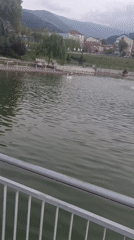 Fountain operates in Petrich lake as swan swims nearby