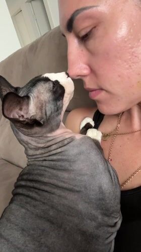 Woman holds Sphynx cat on couch in Netanya