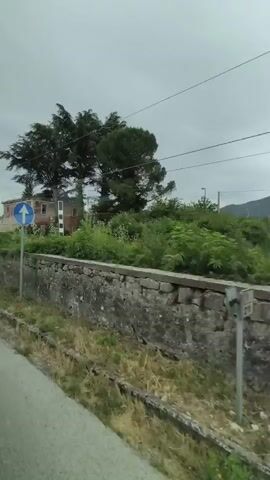 A time-lapse video shows a view from a moving vehicle. In the foreground, a gray asphalt road is visible. A low, rough-stone wall runs parallel to the road, separating it from a grassy area. Behind the wall, lush green bushes and tall trees grow. In the background, an abandoned, two-story brick building with a reddish-pink facade and broken windows stands among the vegetation. The sky is overcast and gray. The video appears to be filmed in a rural or semi-rural area.