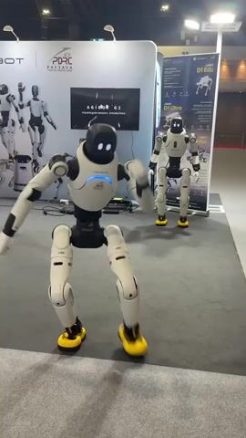 Two humanoid robots are performing a synchronized dance routine on a carpeted floor. The robot in the foreground is white with black accents and yellow feet. It has a black head with two small white circular lights for eyes and a blue light strip across its chest. The robot is in a mid-dance pose, with its arms extended to the sides and its legs bent. A second, identical robot is positioned behind and to the right of the first robot, also in a similar dance pose. Both robots are facing forward. In the background, there are several large display panels. The panel behind the first robot has the text "iBOT PDRC PATTAYA" and images of other robots. A screen above this panel displays "AGIBOT G2". To the right, another panel has text that includes "D1 Edu" and "D1 Ultra". The lighting in the room appears to be artificial, coming from overhead fixtures.