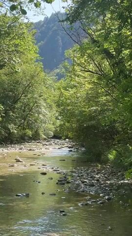 A low-angle, vertical shot looks up a shallow, rocky river. The water is clear and greenish, reflecting the sunlight and trees on either side. The riverbed is filled with smooth, grey and brown stones of various sizes. Lush green trees line both banks, their leaves creating a dense canopy overhead. In the distance, a hazy, sunlit mountain peak is visible through a gap in the trees. The overall impression is one of a serene, natural landscape.