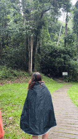 Morning hike to Monta Than Waterfall, Suthep, Thailand