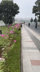 Evening stroll captured in Da Lat's parks and bridges
