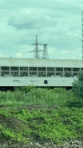 A freight train moves slowly from left to right across the frame, viewed from a slightly elevated position. The foreground is dominated by lush green vegetation, including tall grasses and bushes. In the background, under a cloudy sky, several power line towers with overhead lines are visible, along with some distant trees.

The train consists of various types of freight cars:
- The first visible car is a white boxcar with multiple slatted openings or windows on its side, displaying the number "58637860".
- This is followed by another white, solid-sided boxcar.
- Next is a flatcar carrying a large white container marked with "HTB" in a red and black logo, and the number "424 23905 20".
- Another white, solid-sided boxcar follows.
- The last visible car is a white cylindrical tank car with "URAL LOGISTICS" written on its side, accompanied by a green and blue logo. It also has the numbers "73123523", "PЖУ РЖД", and hazard symbols.

The overall scene depicts an industrial or rural landscape with active rail transport.