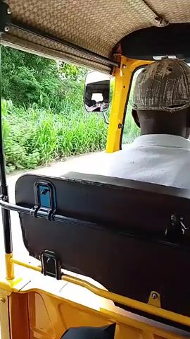 The video is filmed from inside a yellow and black autorickshaw. The camera is pointed forward and slightly to the right. The foreground shows the yellow interior of the autorickshaw, including a black seat and some blue objects. A black metal pole extends from the floor to the roof of the vehicle. Through the open sides of the autorickshaw, a road is visible, flanked by lush green vegetation and trees. The vegetation appears dense and tall. The sky is overcast or the lighting is diffused. The vehicle appears to be in motion, suggesting a journey. The driver's head and shoulder, wearing a light-colored shirt and a cap, are visible in the upper right portion of the frame. A side mirror on the right side of the vehicle reflects a blurred image of the surroundings. There are no other people clearly visible besides the driver. The overall impression is a view from a passenger in a moving autorickshaw through a rural or semi-rural setting.