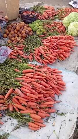 The video displays a vendor's fruit and vegetable stall, with the produce arranged on a light-colored tarp or cloth on the ground. The main feature of the display is a large quantity of fresh carrots in bundles, with their green tops still attached. These carrots are predominantly orange in color. To the left of the carrots, there are piles of round, brown fruits, some light green mangoes, and a black bag containing something orange that is not immediately distinguishable. To the right of the carrots are at least two heads of cabbage. People pass by in the background.