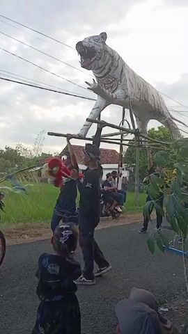 The video shows a group of people standing on a paved road in a village. In the center of the frame, three men are carrying a large, white tiger effigy constructed of what appears to be paper mache on a bamboo frame. One of the men is also carrying a red and yellow dragon effigy. A little girl in a black floral dress and a purple bow stands watching the procession. Other people are visible in the background, including some sitting on a parked motorcycle. There is tall grass and a house visible on one side of the road. Power lines are strung overhead.