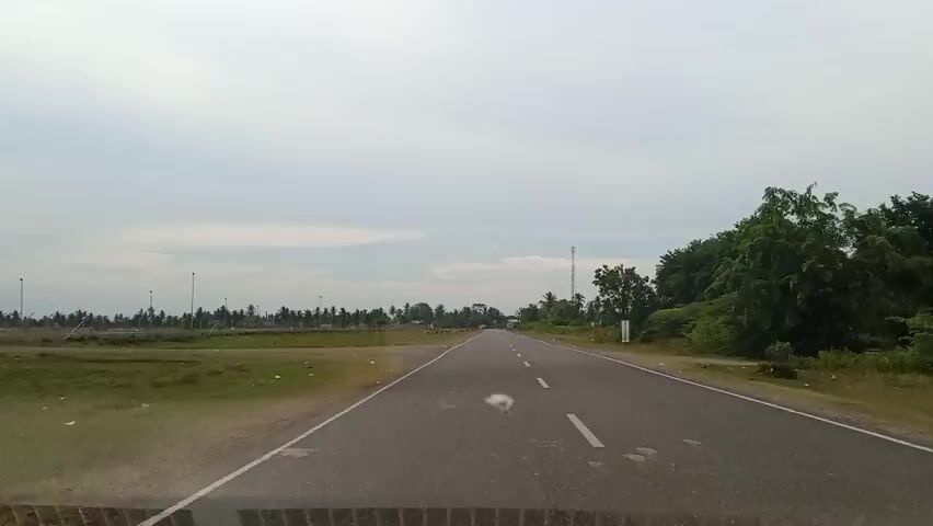 The video shows a view from inside a vehicle driving on a paved road. The road has a white dashed line marking the center. On the left side of the road, there is a grassy field with scattered debris. In the distance, there are many palm trees and a few utility poles. On the right side of the road, there is a dense line of green trees. The sky is overcast. The car is moving forward at a steady pace.