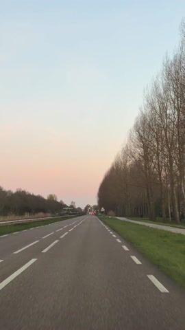 The video shows a straight road with two lanes in each direction. White dashed lines mark the lanes. On the right side of the road is a row of tall, bare trees and a narrow grassy strip. Beyond the left side of the road is a grassy field with some trees in the distance. In the distance, there are buildings and possibly other vehicles. A triangular road sign with an exclamation point is visible near the right side of the road. The sky is a gradient of pink, white, and blue, indicating either sunrise or sunset. The video appears to be taken from a moving vehicle.