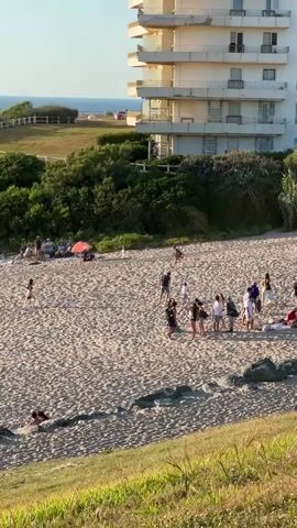 The video shows a wide shot of a sandy beach with many people enjoying the sun. In the foreground, green grass slopes down towards the beach, with large rocks scattered at the bottom. The beach itself is filled with sunbathers, some sitting under umbrellas, others lying on towels. Several groups of people are gathered, chatting and relaxing. Children can be seen playing, and a dog is running across the sand. In the background, a large, light-colored building with multiple balconies overlooks the beach. Beyond the building, the blue ocean stretches to the horizon under a clear sky. A concrete walkway or pier extends into the water from the rocky shoreline on the left side of the frame. The overall scene depicts a lively and pleasant day at the beach.