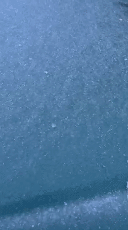 Winter moments and flowers captured in Hlybokaye, Belarus