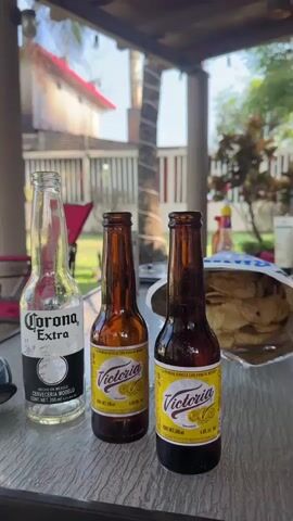 The video opens on a table with empty beer bottles, showing a Corona and two Victorias. The camera pans to a yard where a man is relaxing in a hammock. Two dogs are playing on the patio and another dog stands on the grass with a tennis ball.
